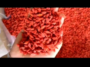 GOJI BERRY PREMIUM KICHE KICI