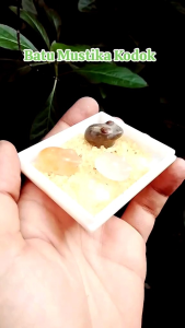 Batu akik mustika Kodok