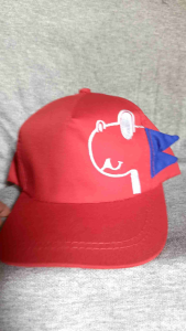 Topi Anak Karakter Dino / Topi Anak Dino 1-7 Tahun Karakter Dinosaurus Topi Anak Laki-laki Gratis Bordir Nama