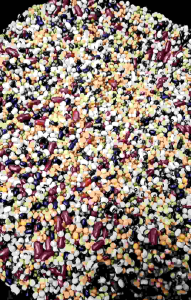 ถั่ว 5 สี ออร์แกนิค ขนาด 1 Kg แบบดิบไม่ผ่านการแปรรูป ธัญพืชจากธรรมชาติ