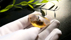 Thạch anh ưu linh đa sắc