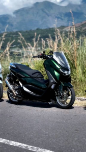 Moonlight Green - Cat Motor/Mobil