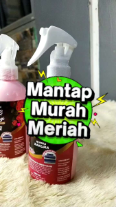 Pelicin Pewangi Setrika Pakaian (HDL CLEAN)