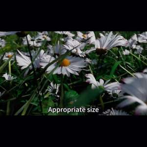 (พร้อมส่ง) ขายึดแฮนด์ จักรยาน มอเตอร์ไซค์ Bike Mount สำหรับ Gopro Action camera clip holder