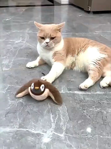 [SG]🚚 Cat Teasing Bird Electric Toy Realistic Bird Sound Cat Happy Toy Self-Entertainment Artifact Automatic Cat Teaser