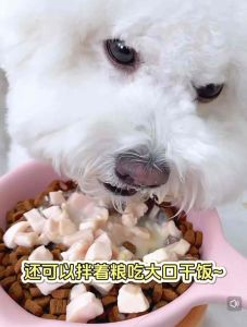 ♡Ready Stock♡ 卟叮健康宠物罐头炖肉炖汤零食/伴粮 BuDin Pets Dogs & Cats Healthy Canned Snack/Wet Food