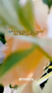 COD ORIGINAL NIGHT ACNE EXPERT FHSKIN