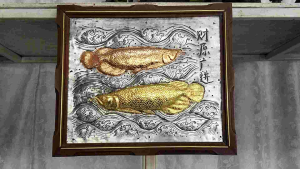 1ปลามังกรสีนาคและทองพร้อมส่ง