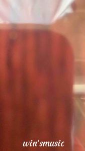 Pickguard Cort Akustik