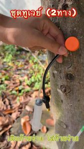 ชุดทดลองไซริ้งค์ทูเวย์( 2 ทาง ) 100 ชุด