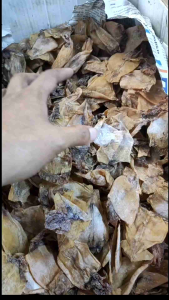 Dried Sweet Pusit - Resealable Pouch 100g