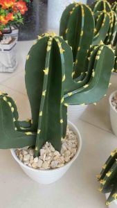 Hiasan Kaktus koboy artifisial/fullset - BM:koboy