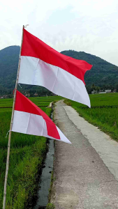BENDERA MERAH PUTIH (BEST QUALITY)