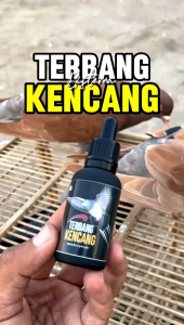 Doping merpati lomba terbang lebih kencang memperkuat daya terbang dan nafas lebih tahan lama maksimal