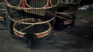 SANGKAR BURUNG MAHKOTA MERAK RAJUT SINTETIS MATARAM KANDANG BURUNG PERKUTUT TERBAIK MURAH BERKUALITAS - WARNA MERAH