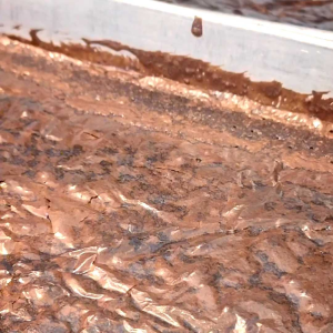 Fudge Brownies Box of 6