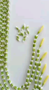 MELATI IMITASI || PAPAN TIBODODO SOLO PUTRI