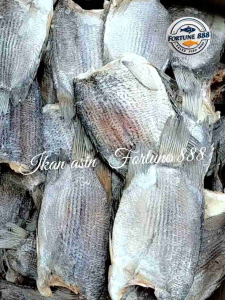 Ikan Asin Tembakang/Biawan Size Jumbo Asli Kalimantan Kualitas Premium