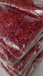 PROMO CABE RAWIIT /CAPLAK KEMASAN 1 KG PACKING
