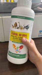 FLOCOL 30 ORAL (chai 1lít) dứt điểm thương hàn tụ huyết trùng hen ghép