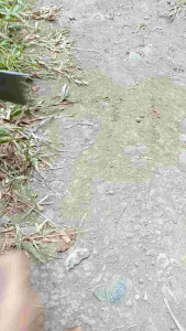 Satu Set Peralatan Berkebun Mini Murah isi 5 Item /Cangkul Pipa/Garuk Pipa/ Sekop Lancip Pipa/ Sekop Biru/ dan Cakar Biru/ Paket Hemat Perawatan Taman dan Kebun