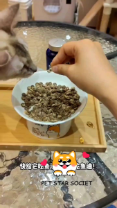 Minyak Ikan Premium Untuk Semua Jenis Hewan Kucing Dog Amster Dll