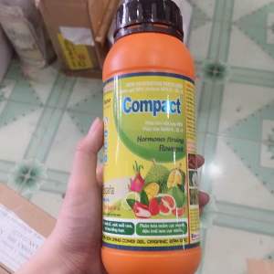 COMPACT-CTY 3 TỐT PHÂN BÓN NPK 9-38-9