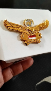 Brevet Wing Garuda Monuco & UNIFIL PBB