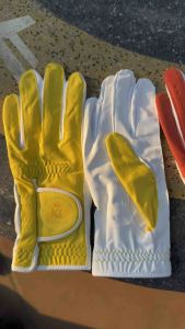 Găng tay nữ đánh golf KL 여성골프장갑