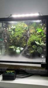 WACOOL TERRARIUMS COLD BLOODED ANIMALS DECORATION potted plant