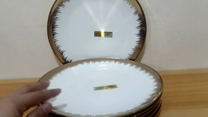 G02 LUXURIOUS GOLD GRASS RIM DINNER PLATE / MAIN COURSE PLATE SIZE 10 9 8 INCHES / PORCELAIN