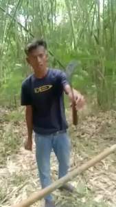 Sabit rumput peternakan dan pertanian
