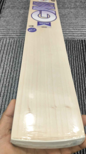 GM MAESTRO 2.9 Limited edition English willow cricket bat