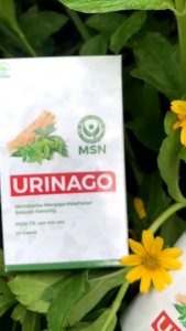 Urinago Obat Sipilis Kencing Sakit Keluar Nanah Keputihan Infeksi Saluran Kemih Gonore Raja Singa