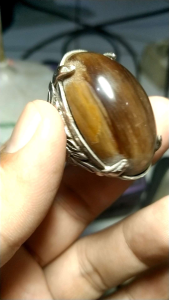 Batu Akik Posil Kelor Merah Tua Natural unik