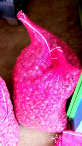 bawang merah super besar kering