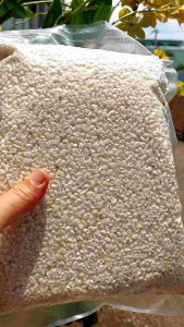 Hạt bắp bể để nấu cháo 1kg - nấu chè xôi