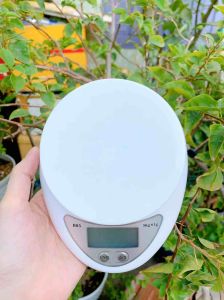 Cân tiểu ly điện tử nhà bếp độ chính xác cao cân mini nhà bếp 5kg - gia dụng Nari
