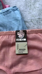 GROSIR ISI 3 PCS - 6 PCS CELANA DALAM WANITA DEWAS DAN REMAJA