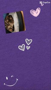 เบาะที่นอน หนัง  ผ้าไม่ติดขน