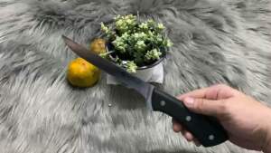 Dao làm bếp lóc lọc cán nhựa sắc bén