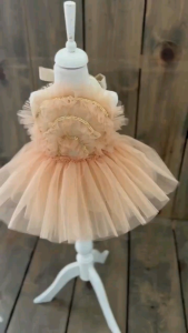 Boho Birthday Tutu Dress/Birthday Outfit/Girls Birthday Dress/Photoshoot Outfit/Photoshoot Dress/tan rainbow romper tutu  nude tan tutu