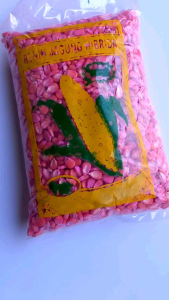 Benih Jagung Lokal Unggul Pilihan 1 Kg