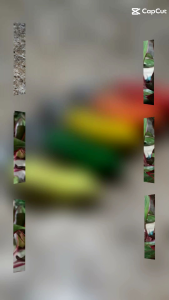 Umpan Pancing Sofrog 3 cm Killer New: Panduan Lengkap