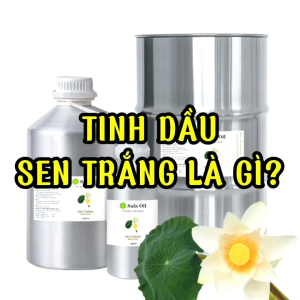 Tinh dầu Sen Trắng giá sỉ 1 Lít - White Lotus Essential Oil - Sala Oil - Tinh dầu sỉ - Tinh dầu giá sỉ