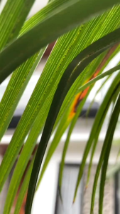 Roster Beton Minimalis & Varian Motif Best Seller