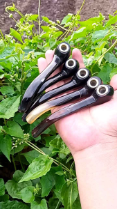 Pipa cangklong popay full tanduk kerbau