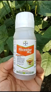 Pengendali Gulma Herbisida Selektif Padi Ricestar Xtra 89 OD isi 100 ml