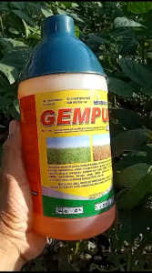 Pembasmi Rumput Ampuh Herbisida GEMPUR 480 SL kemasan 1000 ml