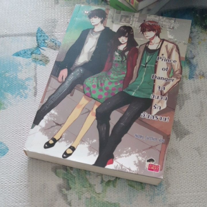 นิยายรัก #นิยายเกาหลี #Prince of Danger จุดชนวนรักอัตราย #นิยายมือสอง